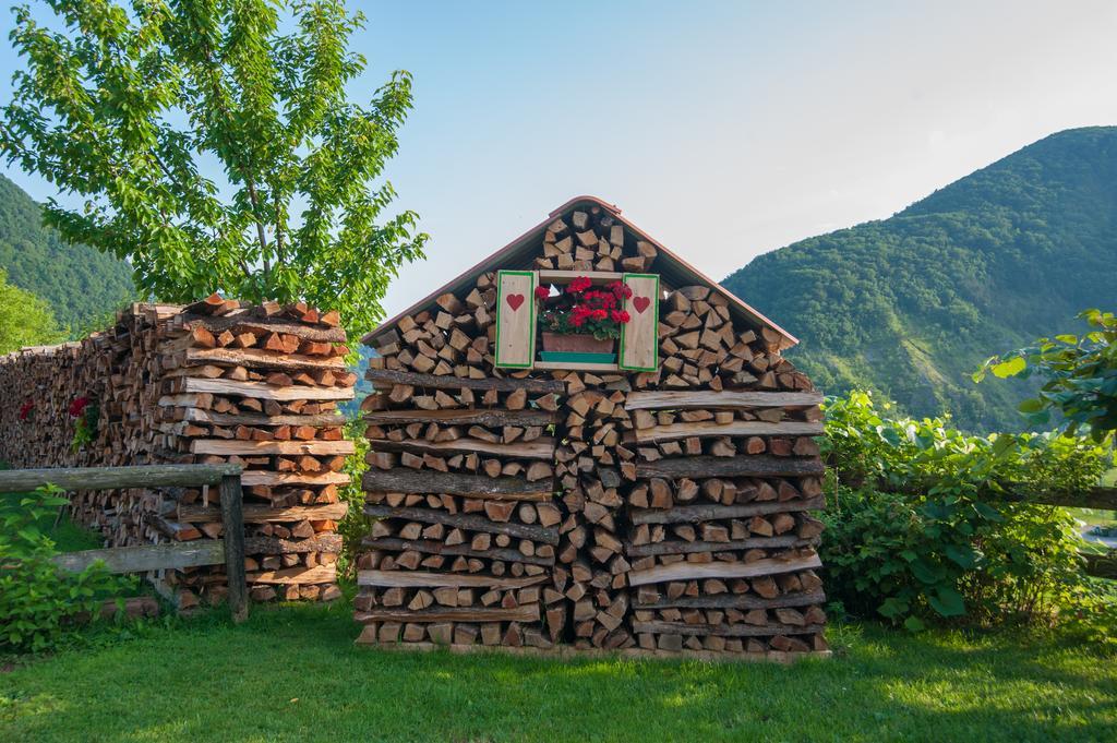 Tourist Farm Pri Kafolu Villa Tolmin Exterior foto